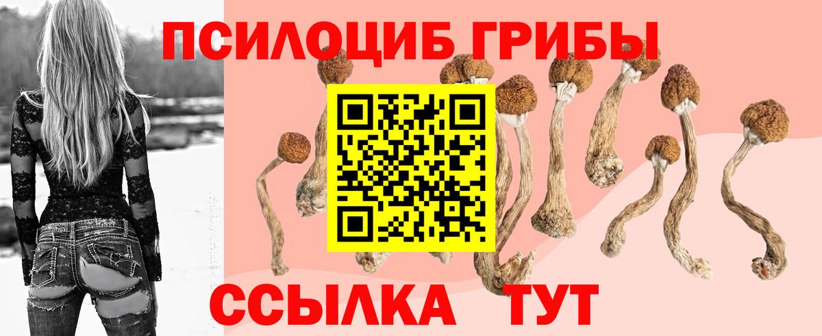 Галлюциногенные грибы MAGIC MUSHROOMS Королёв